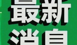 突发热点新闻爆料怎么写,揭秘事件背后真相